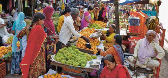 Ein Markt in Bangalore, Indien. © Isabelle Aeberli, Philip Herter