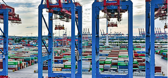 Ansicht eines Hafens mit spezialisierten Umschlaganlagen im Vordergrund und Frachtcontainern im Hintergrund.
