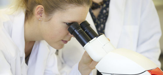 Cette image montre une chercheuse travaillant au microscope dans un laboratoire. © FNS