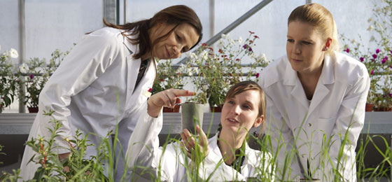 This picture shows three young researchers at work  © Severin Nowacki