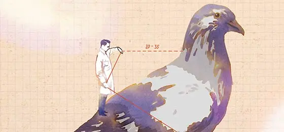 Dieses Bild zeigt das Cover der aktuellen Horizonte-Ausgabe.