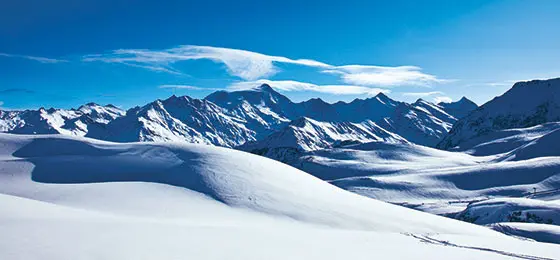 Image de couverture du Swiss Biotech Report 2019