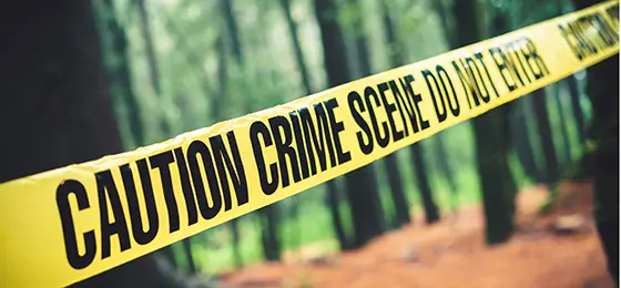 Cette image montre un ruban de signalisation de la police sur une scène de crime.