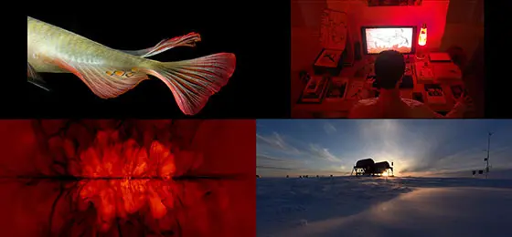 Fotos des Wettbewerbs