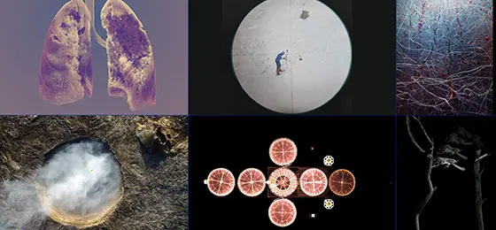 Die ausgezeichneten Bilder