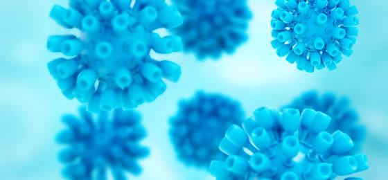 Cette image montre un virus hépatite. © Fotolia