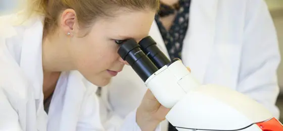 This picture shows a researcher looking into a microscope in a laboratory. © SNSF