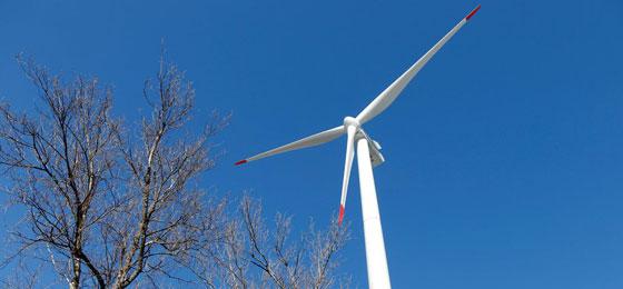 Dieses Bild zeigt eine Windenergieanlage in Oldis in Haldenstein. © Keystone