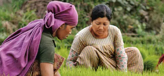 two women working out in the rice fields © François Chappuis, Sanjib Sharma, David Warrell
