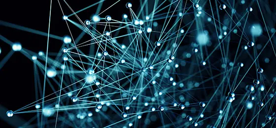 Cette image montre un réseau.