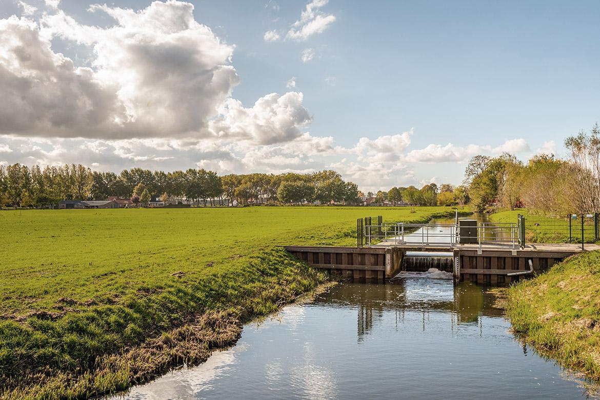 BRIDGE Discovery unterstützt innovative und nachhaltige Projekte