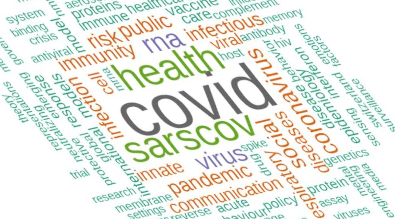 Zeitnahe Lösungen für die Corona-Epidemie