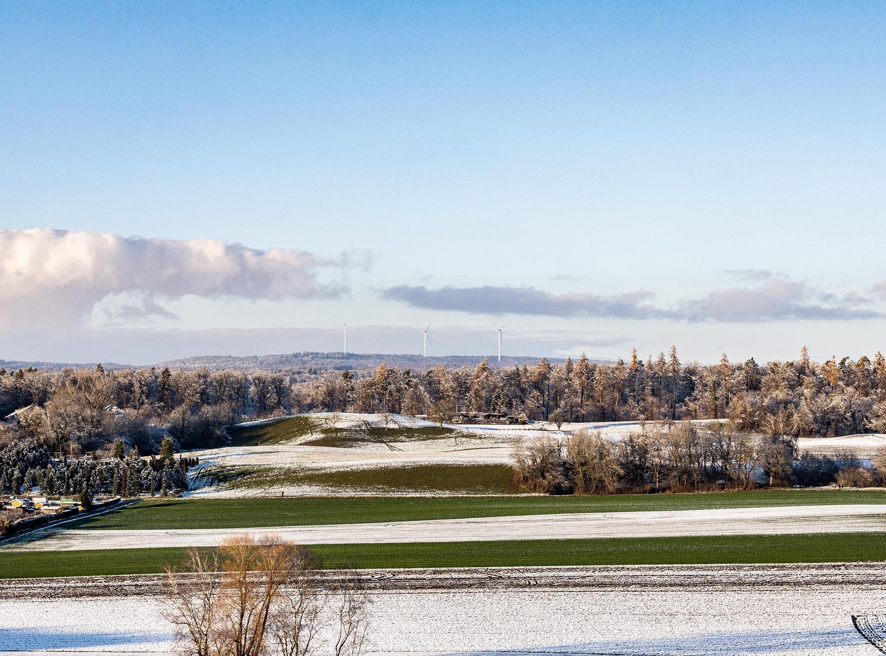 230503-Wald gegen Windrad 