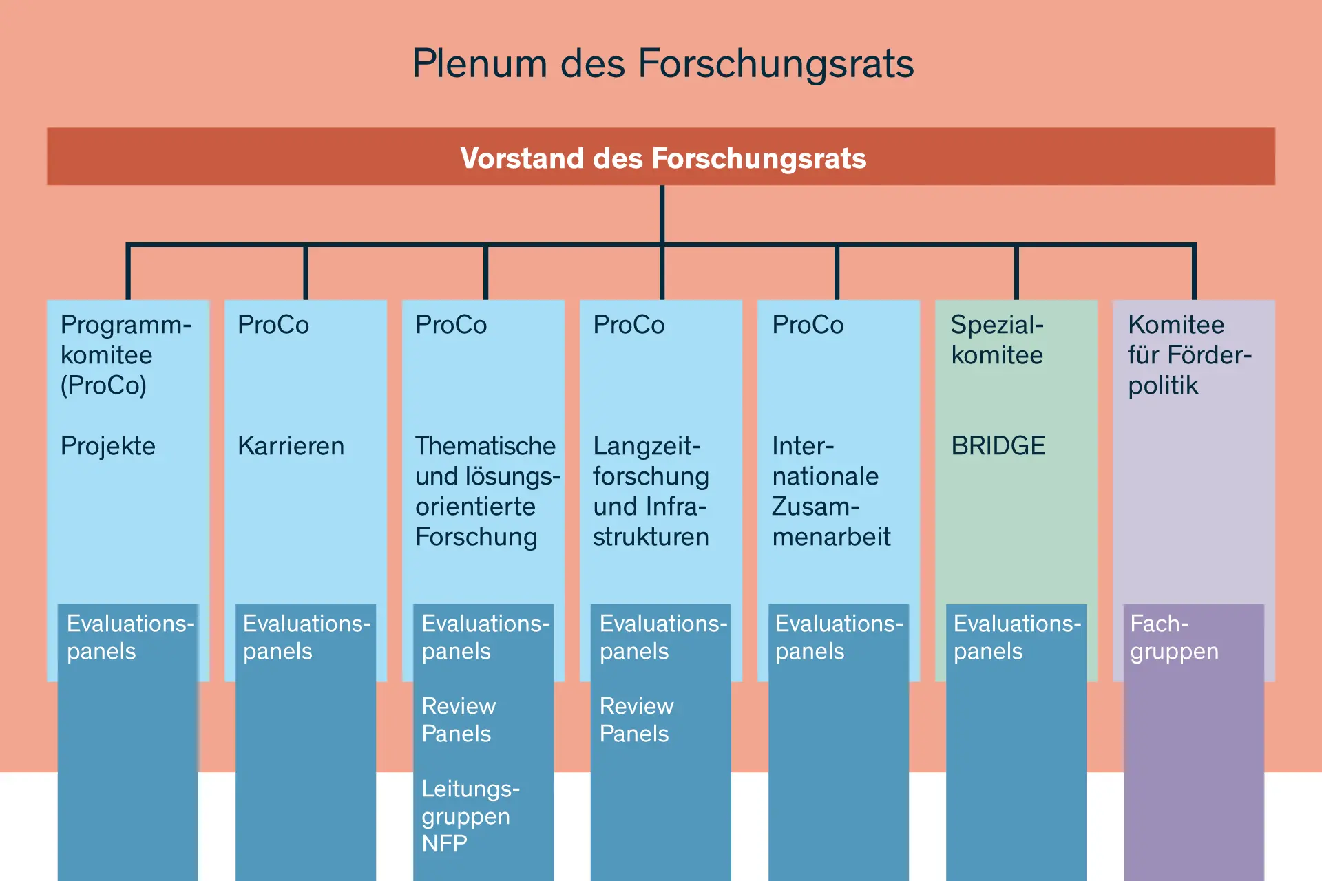 Organigramm Forschungsrat
