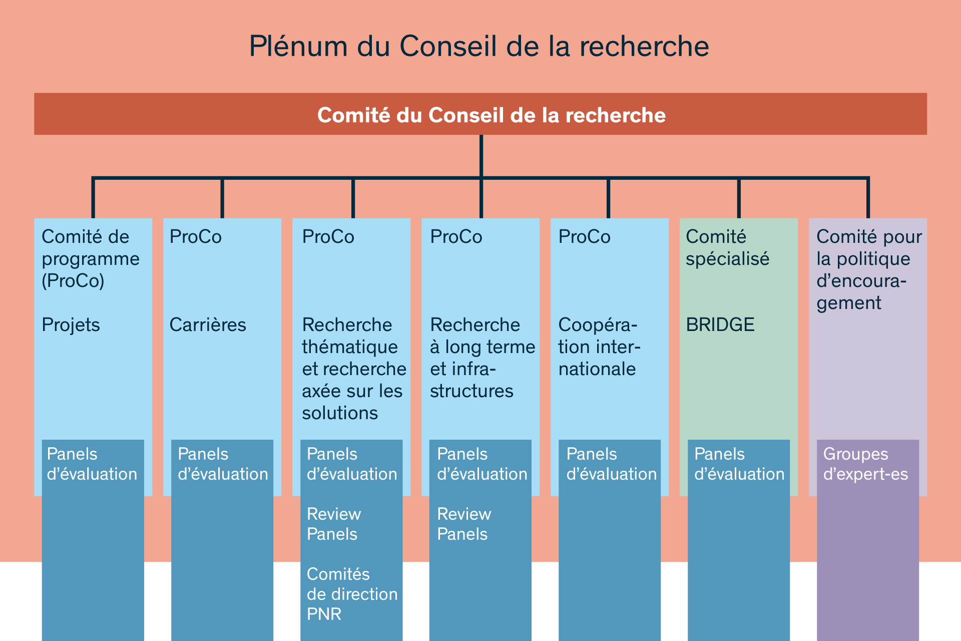 Organigramme du Conseil de la recherche