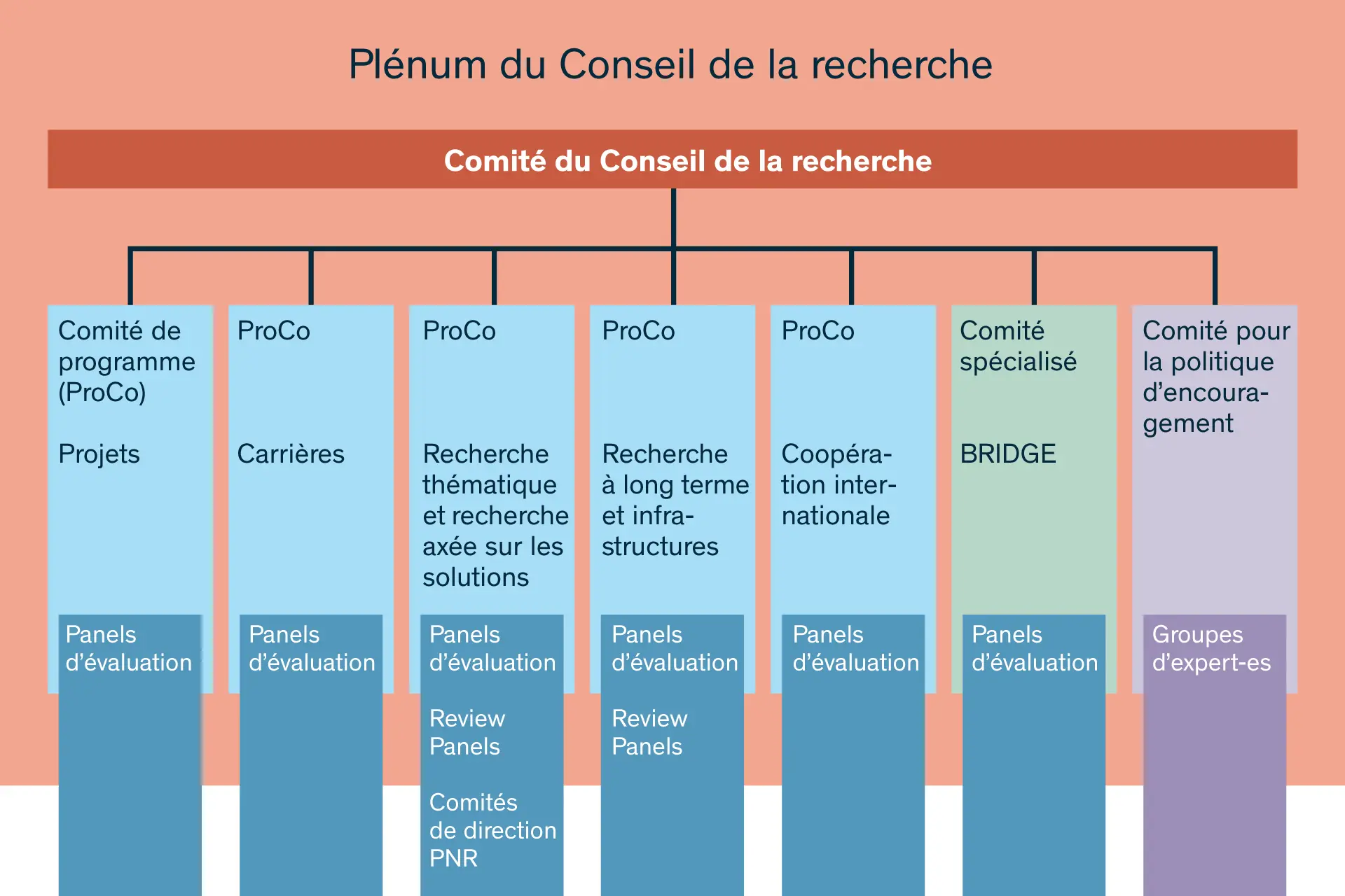 Organigramme du Conseil de la recherche