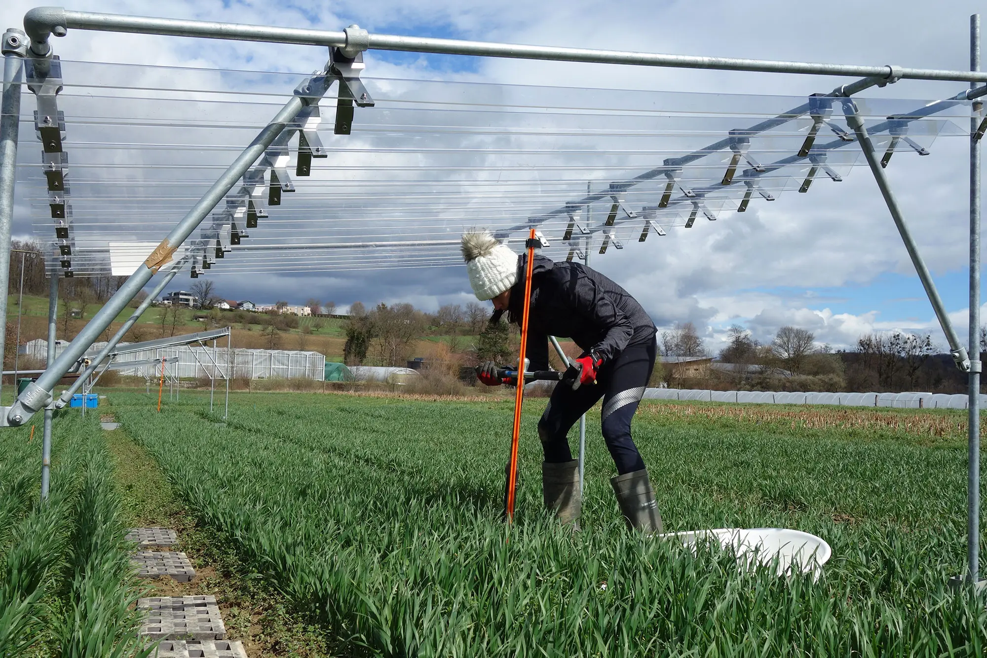 Biologin Dominika Kundel nimmt Bodenproben von Mykorrhiza-Pilzen.