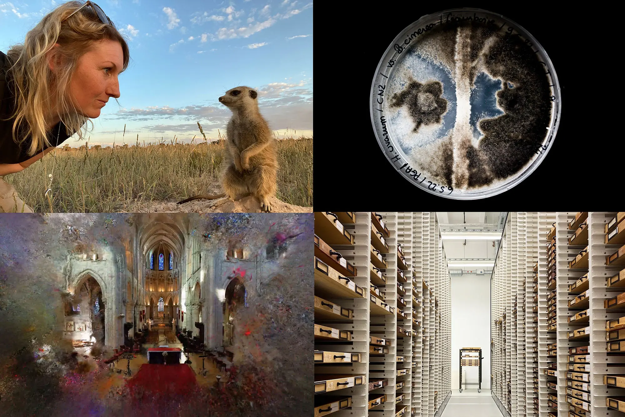 Fotos des Wettbewerbs