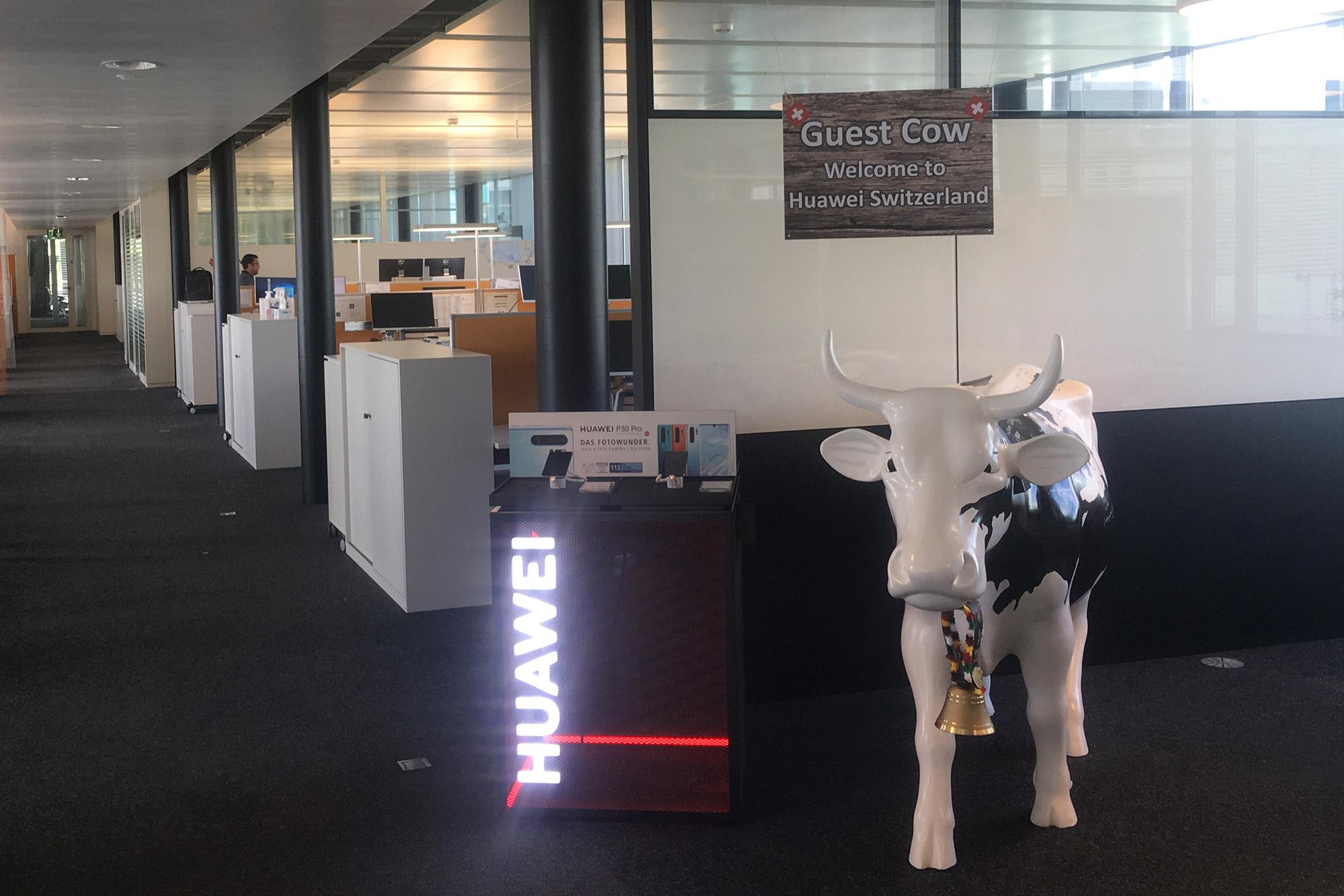 Die lebensgrosse Plastikkuh im Zürcher Standort von Huawei.