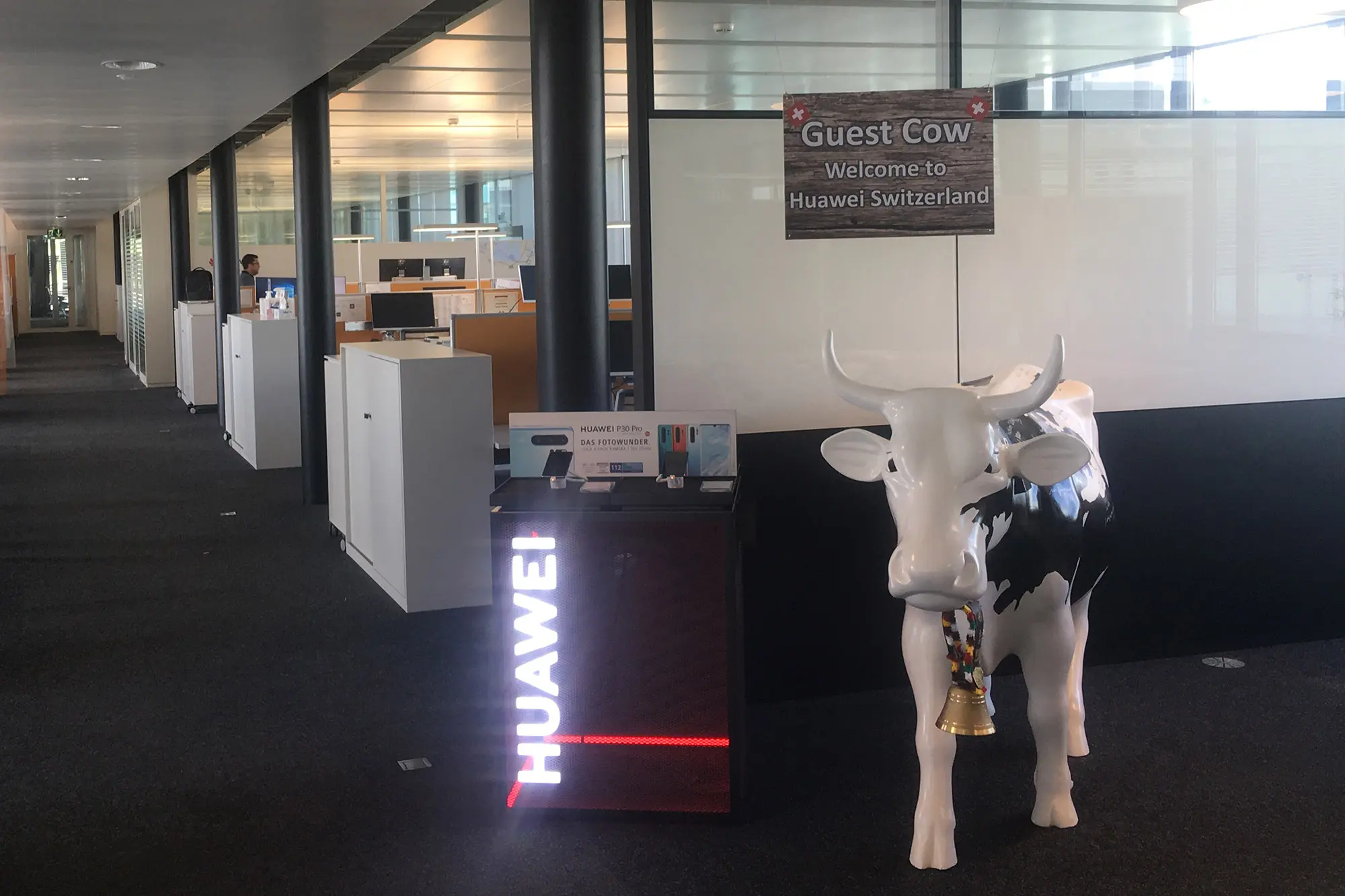 Die lebensgrosse Plastikkuh im Zürcher Standort von Huawei.