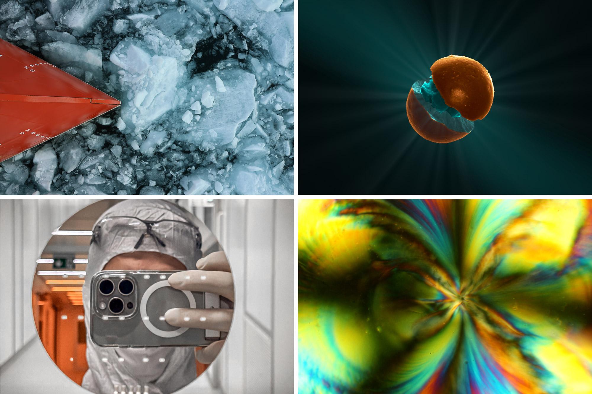 Bilder aus dem SNF-Wettbewerb für wissenschaftliche Bilder. 