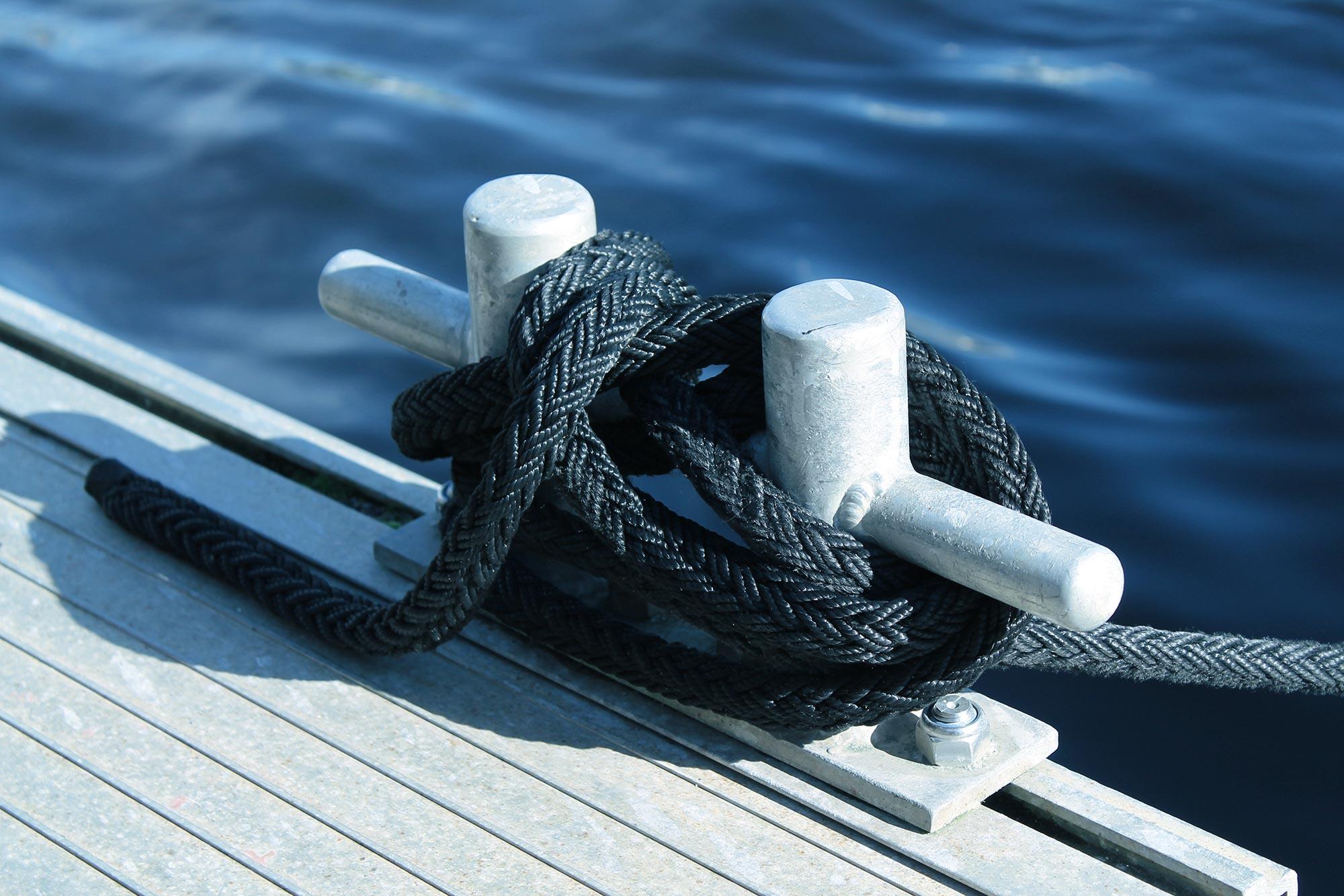 Keyvisual Scholars at Risk