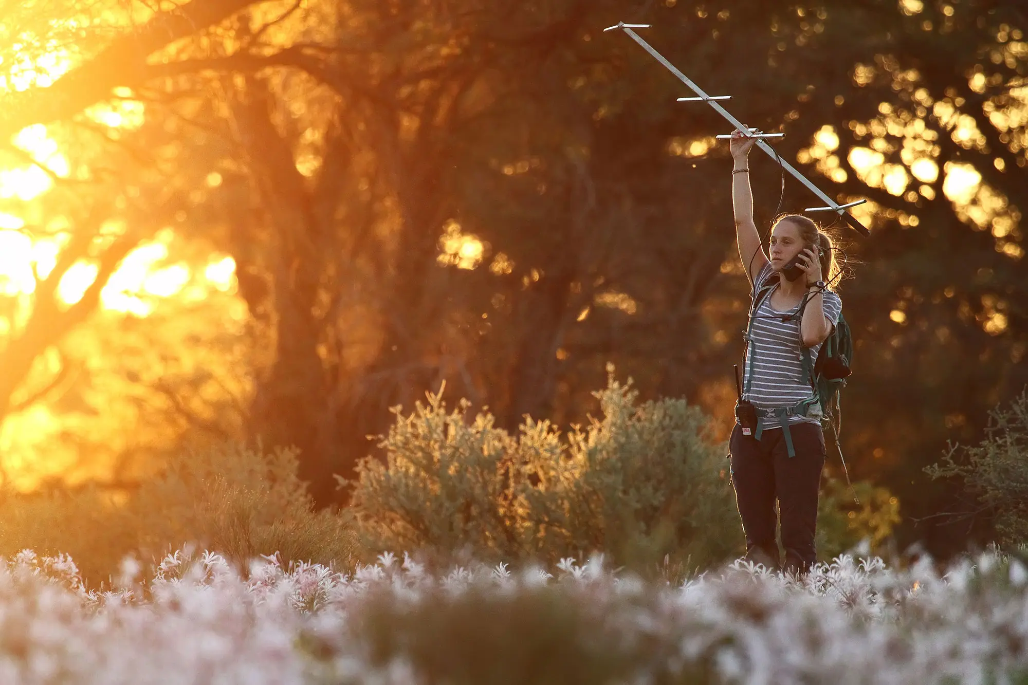 Neues Nominierungs- und Auswahlverfahren für den Marie Heim-Vögtlin-Preis