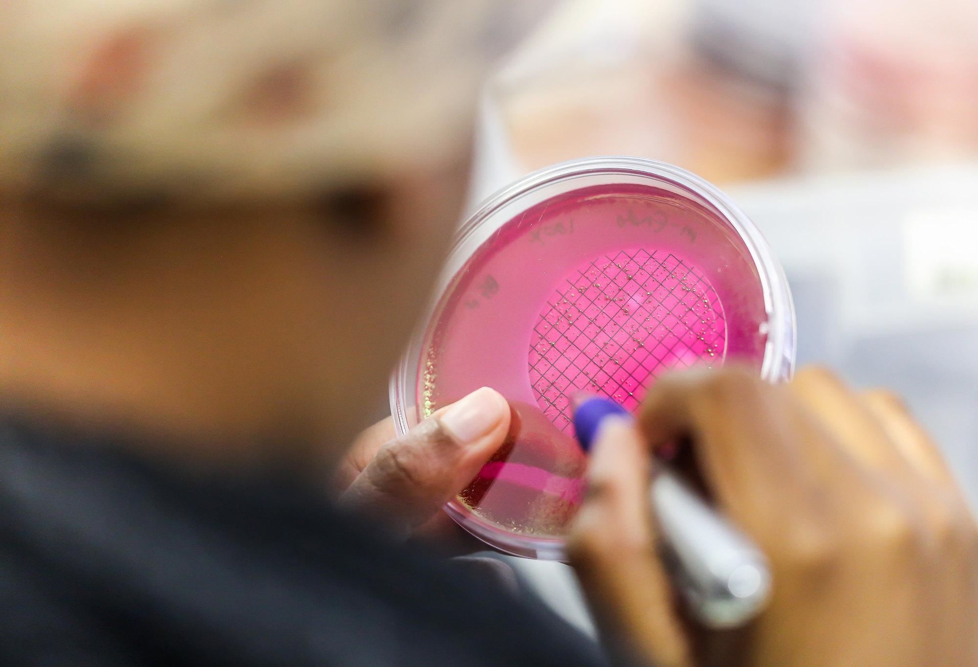 ScienceGeist Debatten zur Wissenschaftspolitik