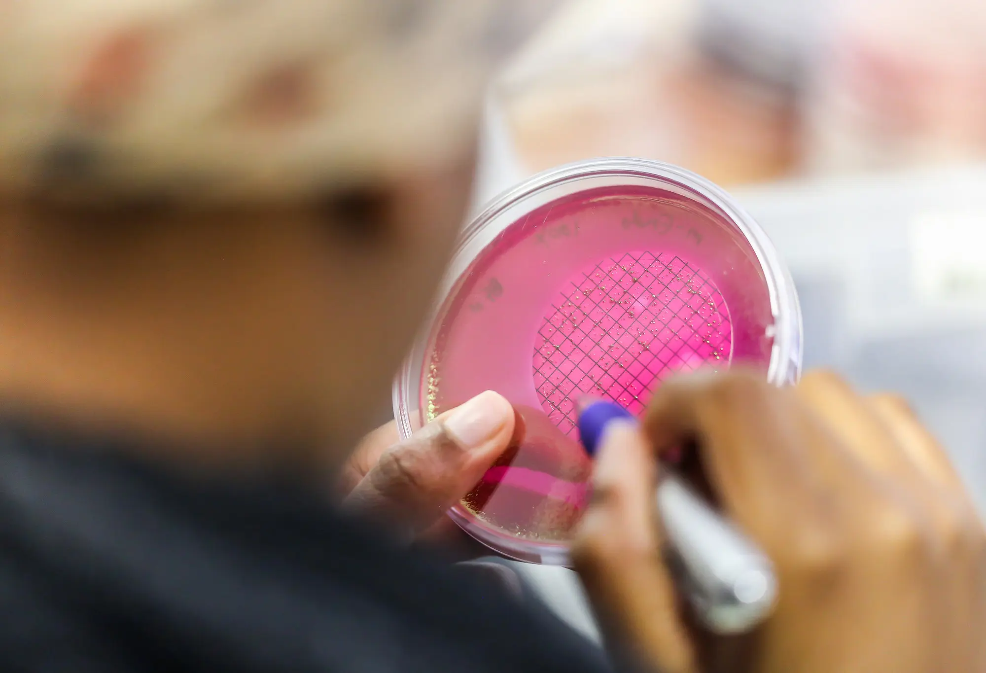 ScienceGeist Debatten zur Wissenschaftspolitik