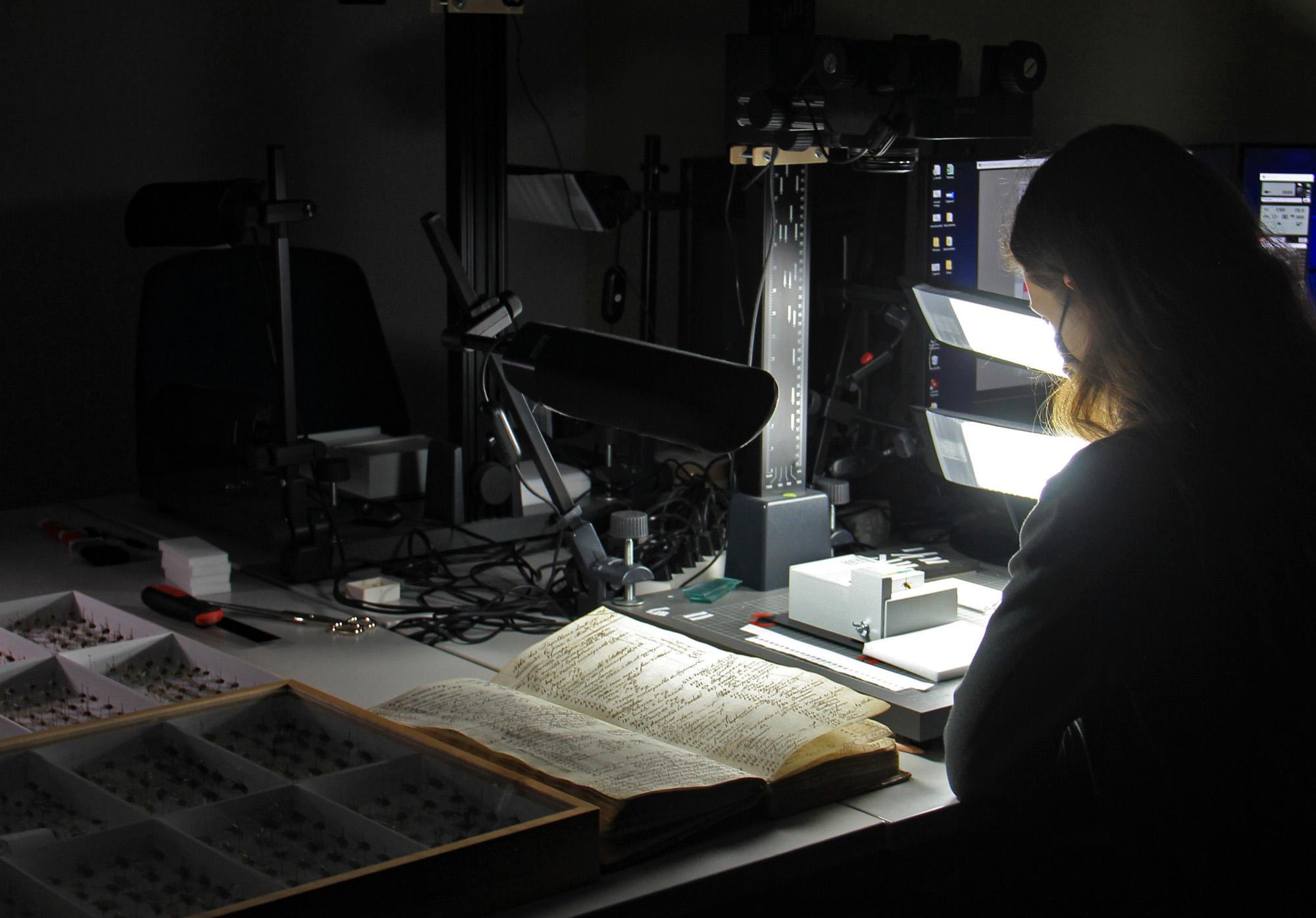 Foto: Fabienne Meier / SNSF Scientific Image Competition 