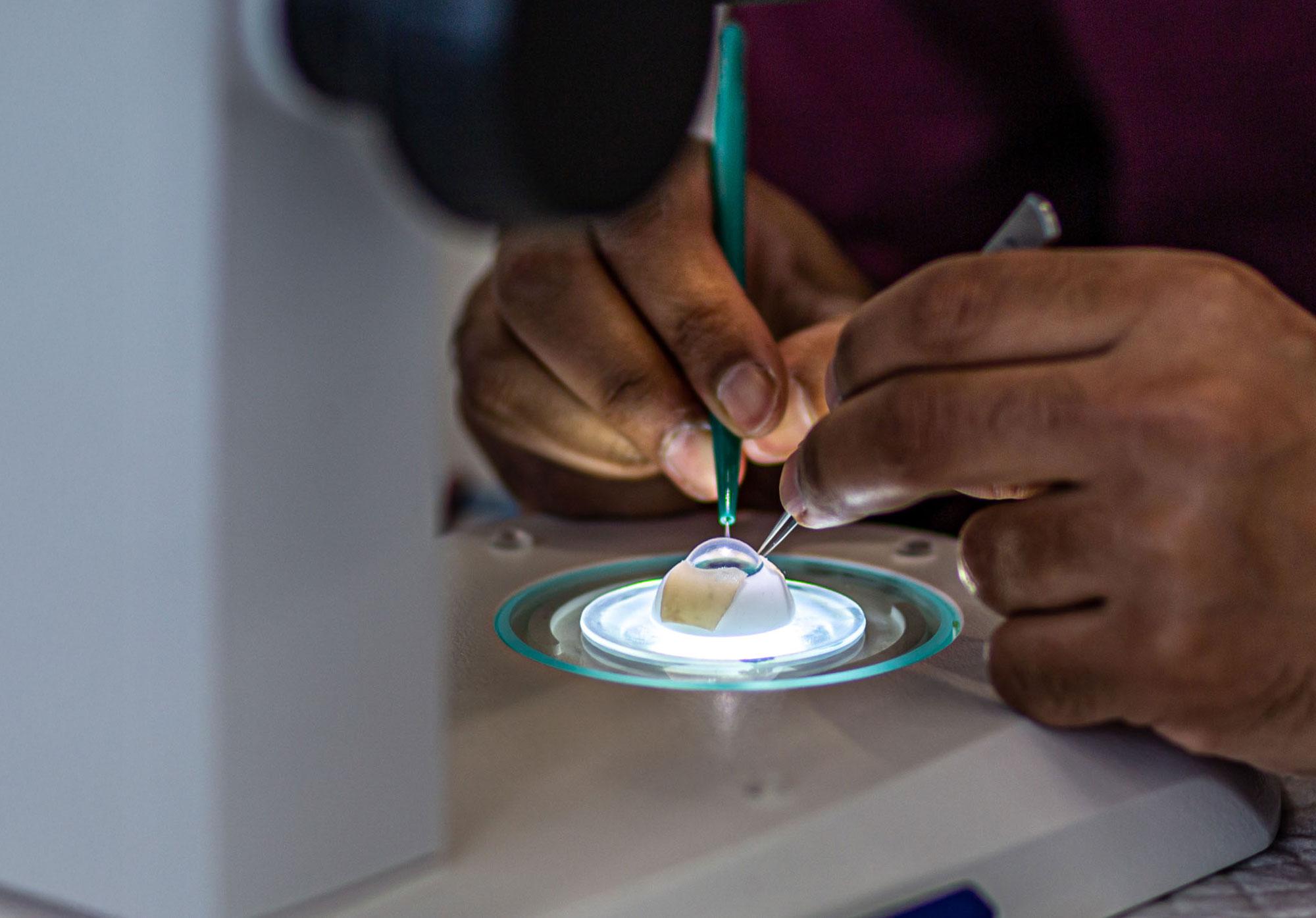 Photo: Julien Busset / SNSF Scientific Image Competition