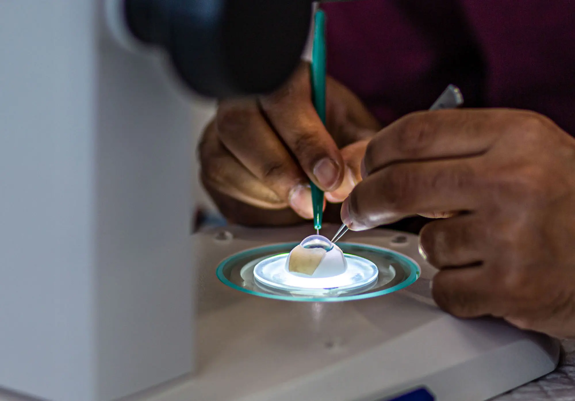 Photo: Julien Busset / SNSF Scientific Image Competition