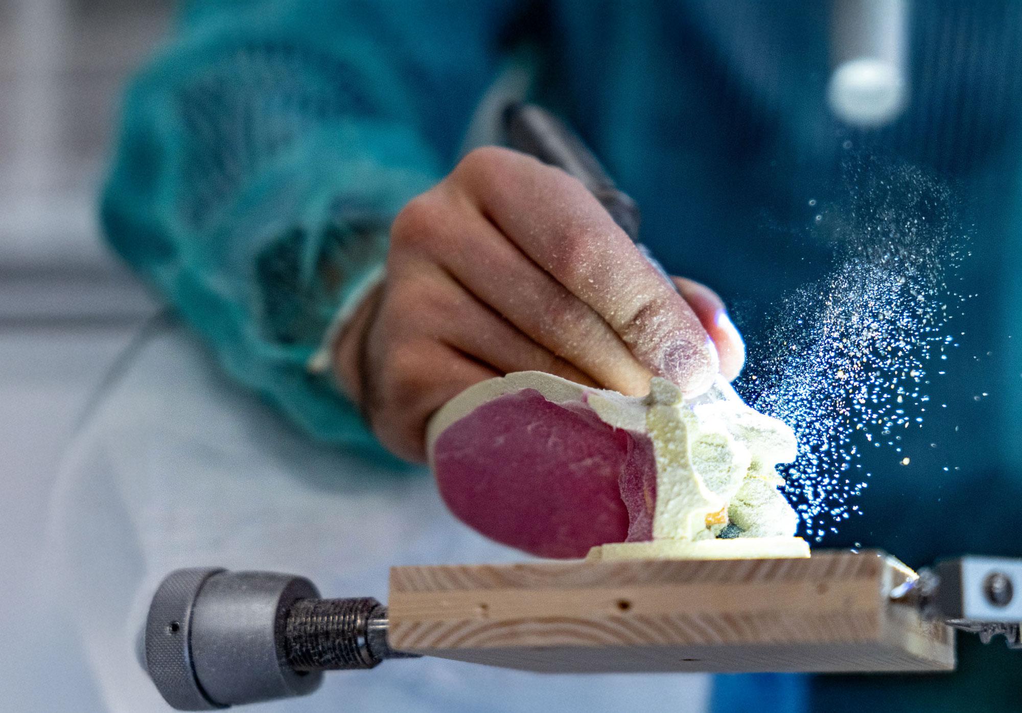 Photo: Julien Busset / SNSF Scientific Image Competition 