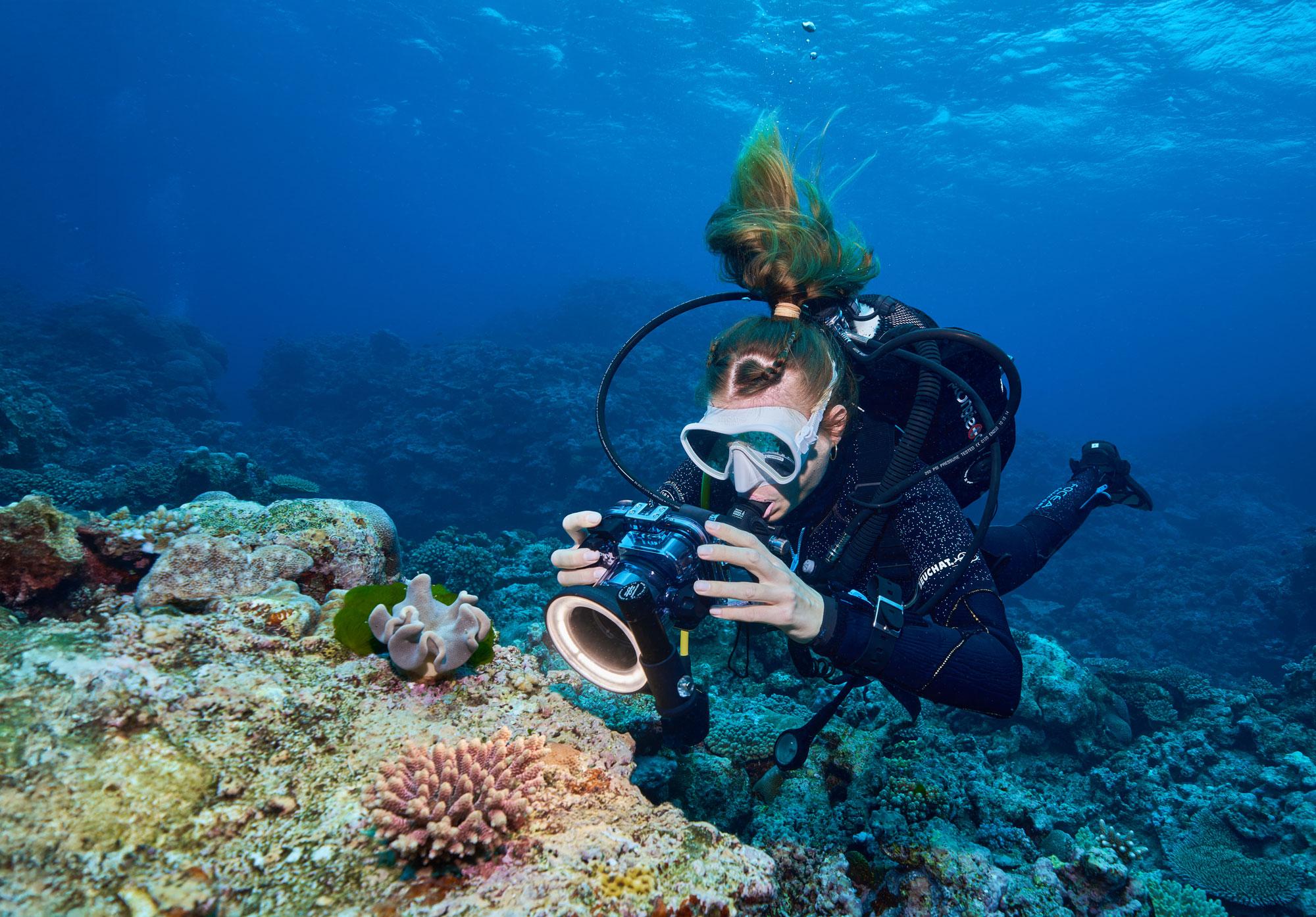 Foto: Dr. Guilhem Banc-Prandi / SNSF Scientific Image Competition