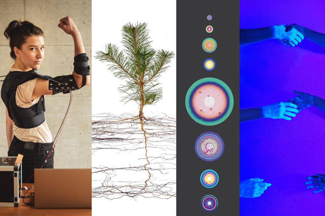 Collage mit Bildern des Wettbewerbs