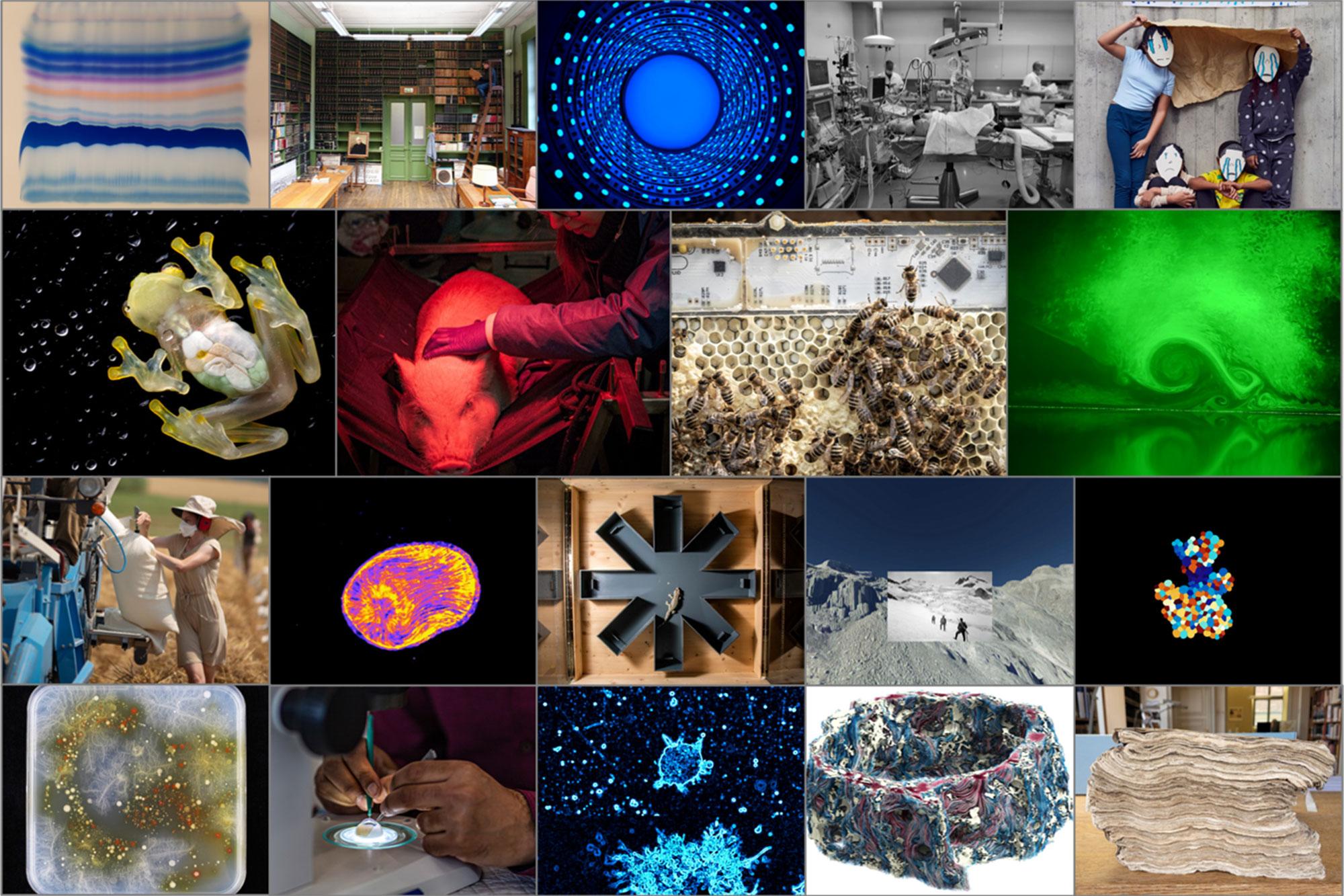 Die 19 prämierten Bilder des SNF-Wettbewerbs für wissenschaftliche Bilder 2023. 