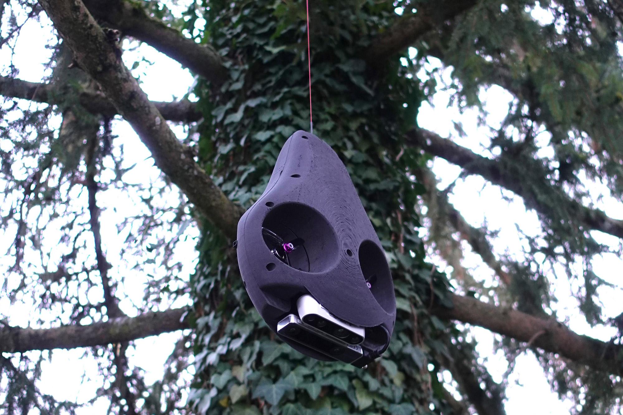 Roboter Avocado manövriert sich um die Äste in den Baumkronen. 