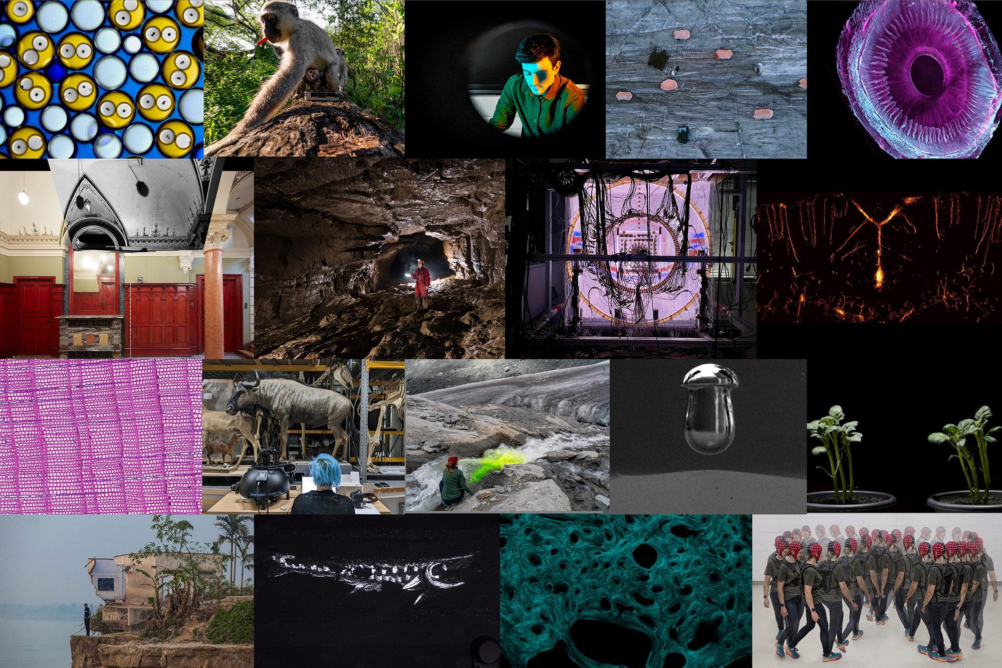 Die 18 prämierten Bilder des SNF-Wettbewerbs für wissenschaftliche Bilder 2024