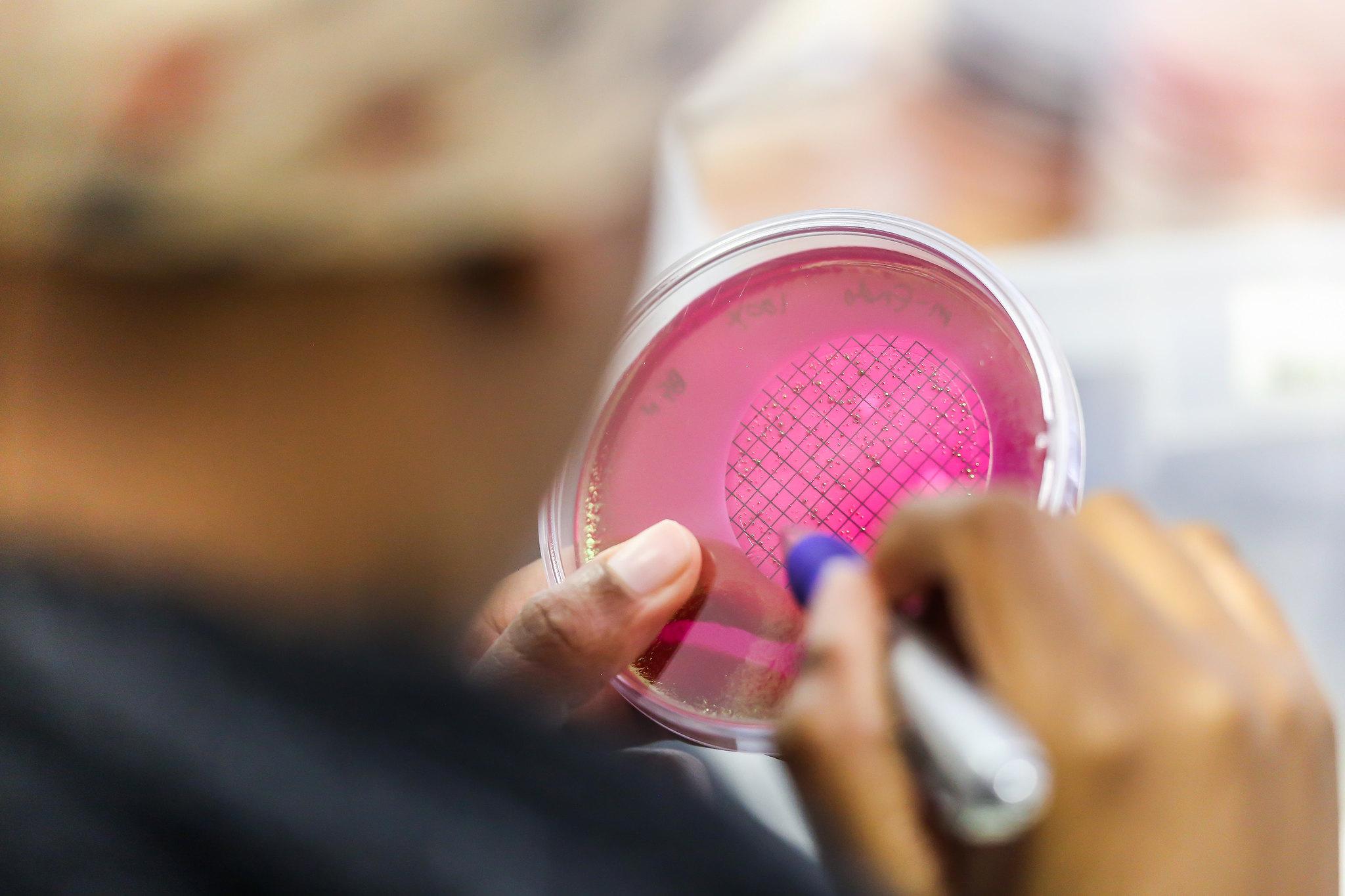 ScienceGeist Debatten zur Wissenschaftspolitik