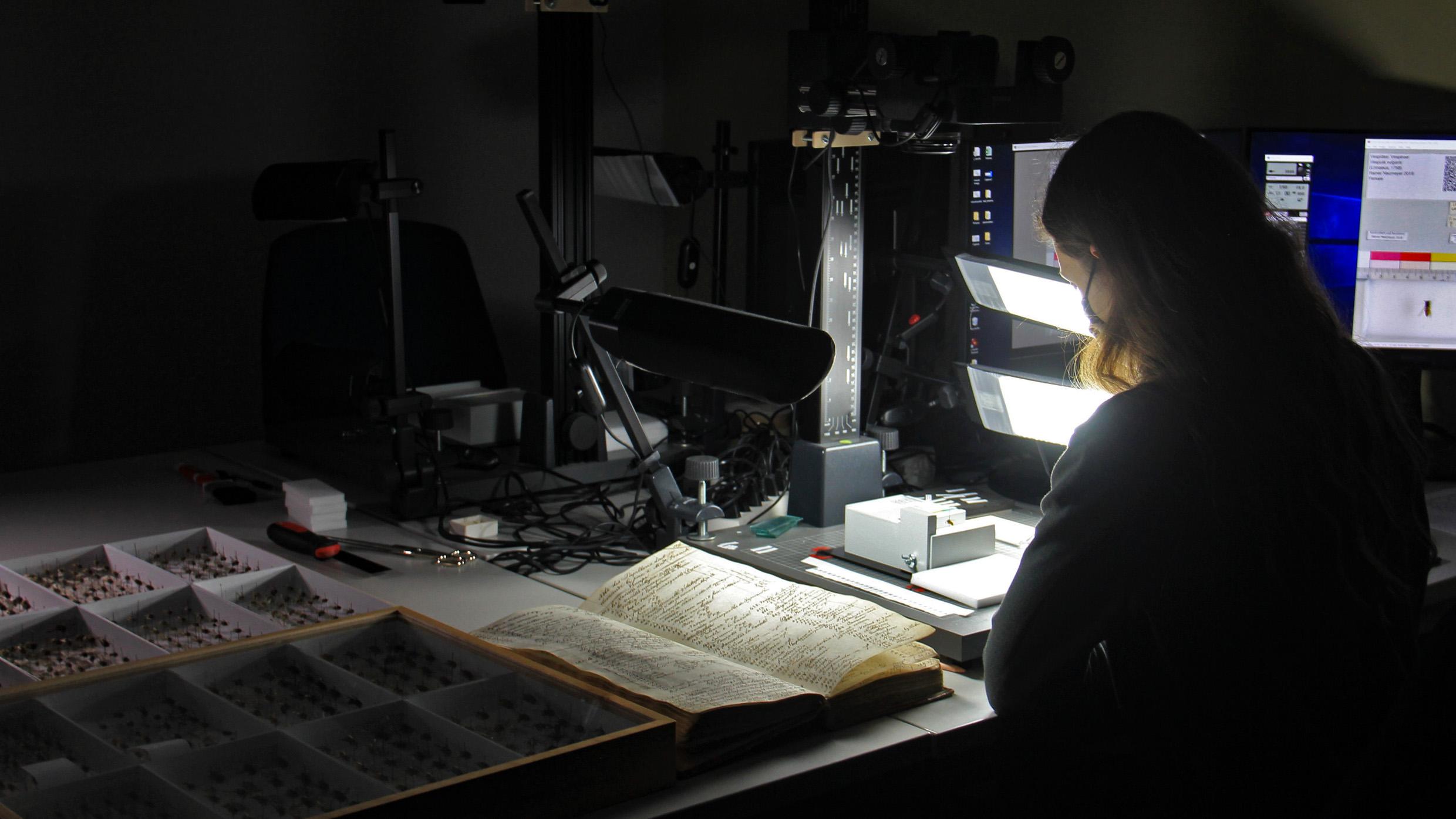 Foto: Fabienne Meier / SNSF Scientific Image Competition 