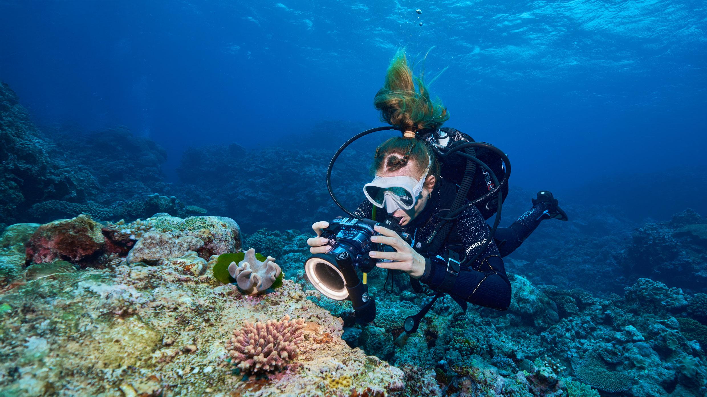 Photo: Dr. Guilhem Banc-Prandi / SNSF Scientific Image Competition 