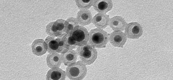Cette image montre des hochets nanoscopiques où des nanoparticules d’argent. © Département de chimie/Université de Fribourg