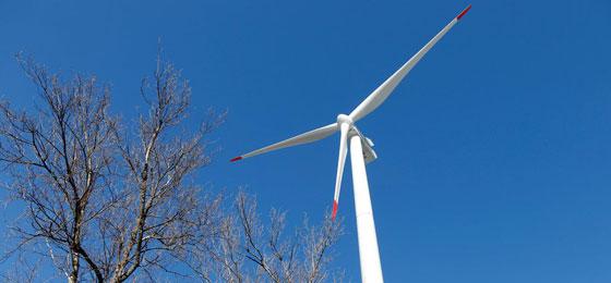 This picture shows a wind turbine in Oldis, Haldenstein. © Keystone